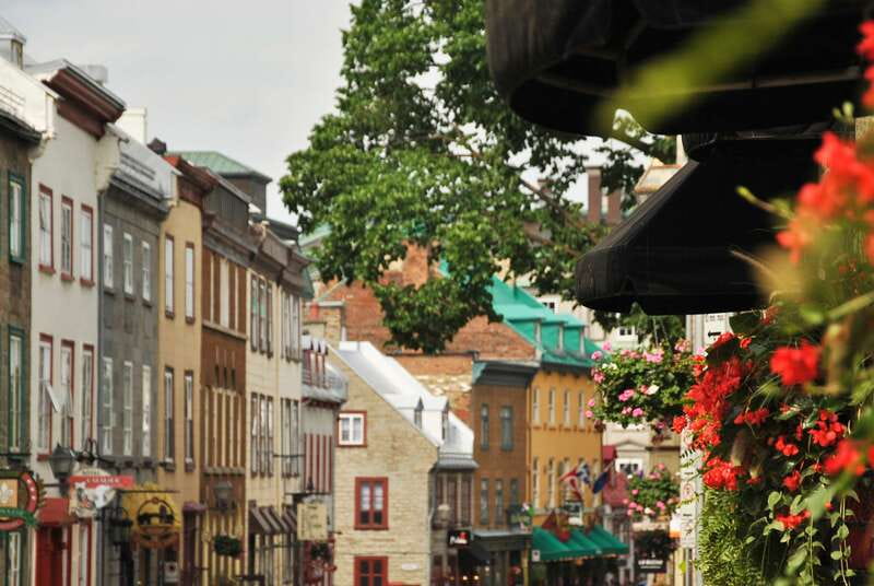 Quebec City: Old Quebec Historical Walking Tour - Who should book this Old Quebec walk?