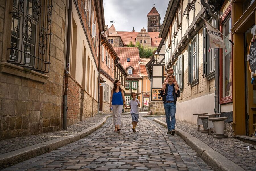 Quedlinburg: Guided City Highlights Walking Tour - The $11 price and what you receive