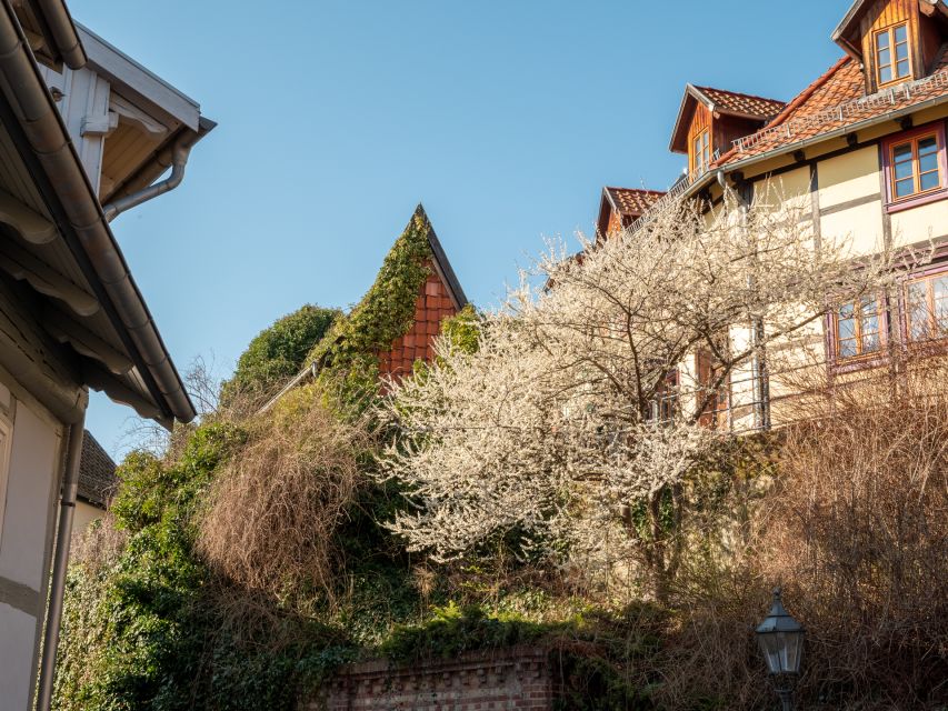 Quedlinburg: Guided City Highlights Walking Tour - Why this two-hour walk works well in Quedlinburg