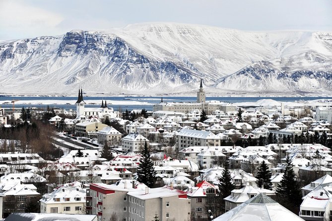 Reykjavik City Walking Tour - Parliament, the cathedral, and the first Viking homes