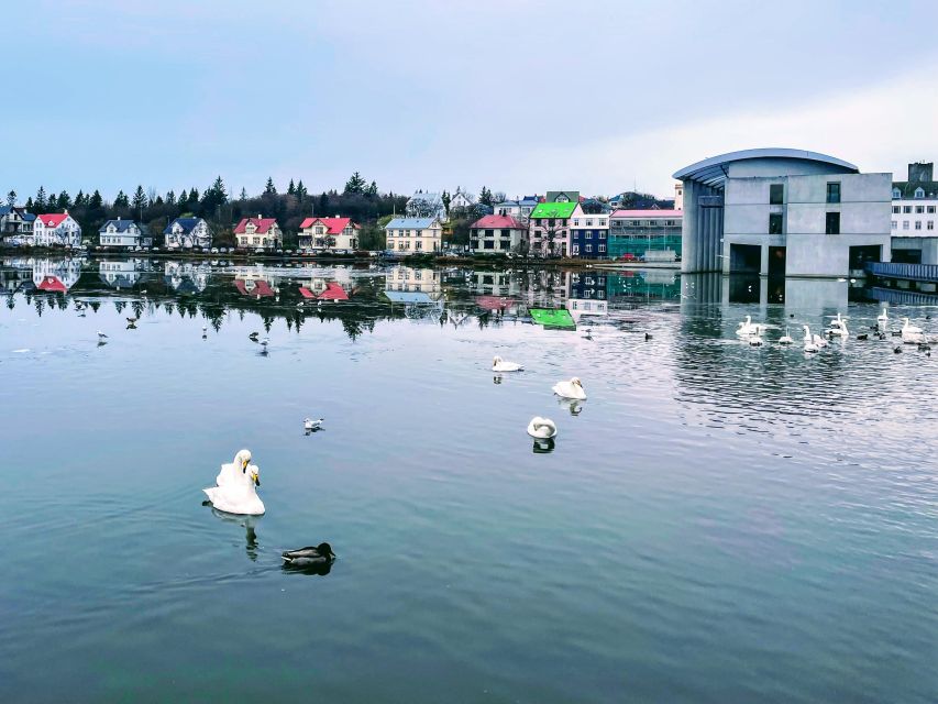 Reykjavik: City Walking tour in Small Group with Local Guide - The small-group difference