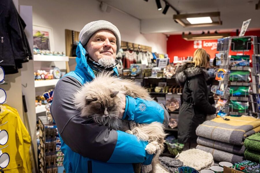 Reykjavik: Feline-Focused City Walking Tour - Shop Cats at Gyllti kötturinn