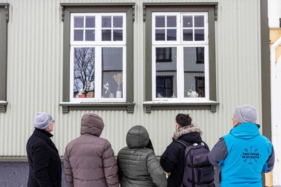 Reykjavik: Feline-Focused City Walking Tour - An Hour at Kattakaffihúsið