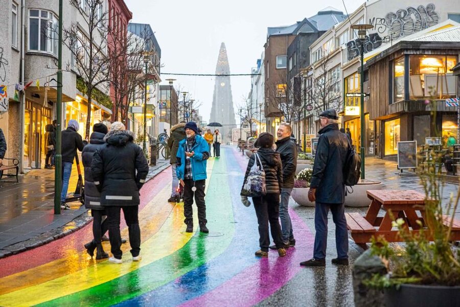 Reykjavik: Feline-Focused City Walking Tour - Hallgrimskirkja and the Einar Jónsson Statue Garden