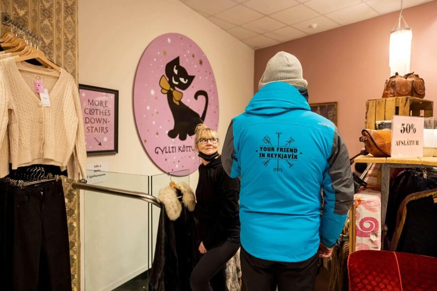 Reykjavik: Feline-Focused City Walking Tour - Is $74 a Fair Price?