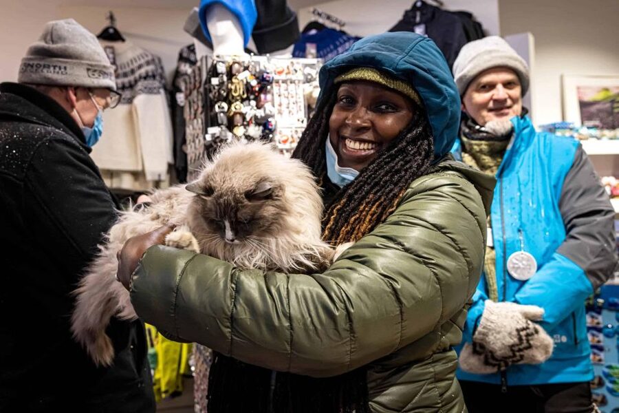 Reykjavik: Feline-Focused City Walking Tour - Starting at Ingólfur Square