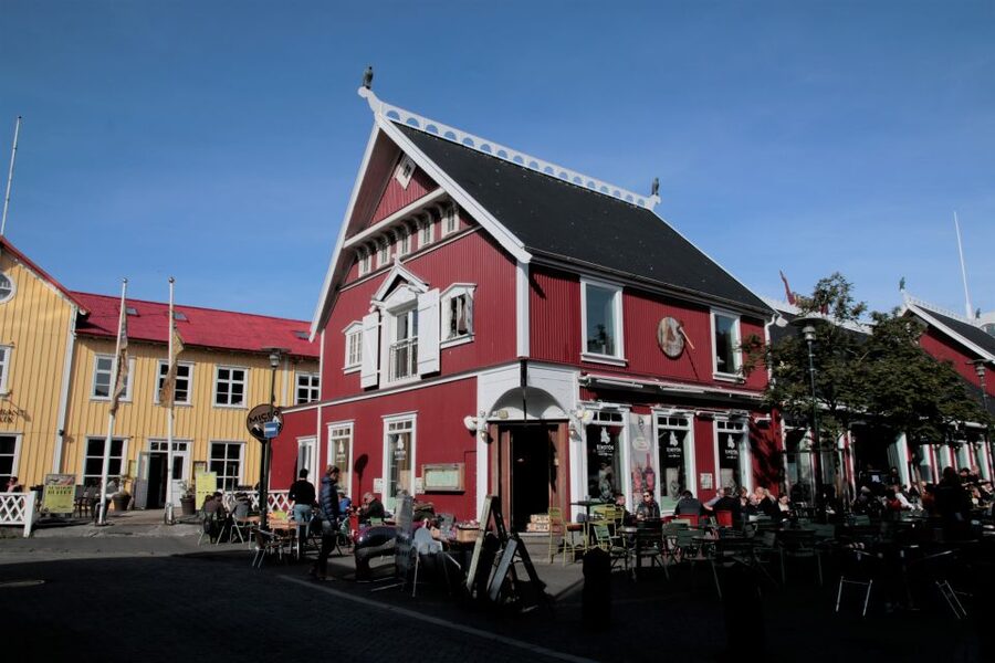 Reykjavik: Guided City Walking Tour - National Theatre and Republic Park