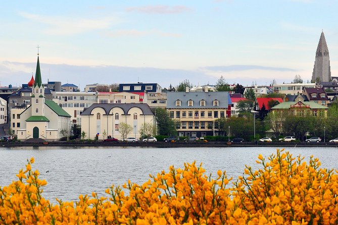 Reykjavik Walking Tour - Walk with a Viking - Parliament House and Iceland’s democratic tradition