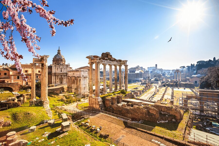 Rome: Colosseum and Ancient Rome Guided Walking Tour - Who should book this tour