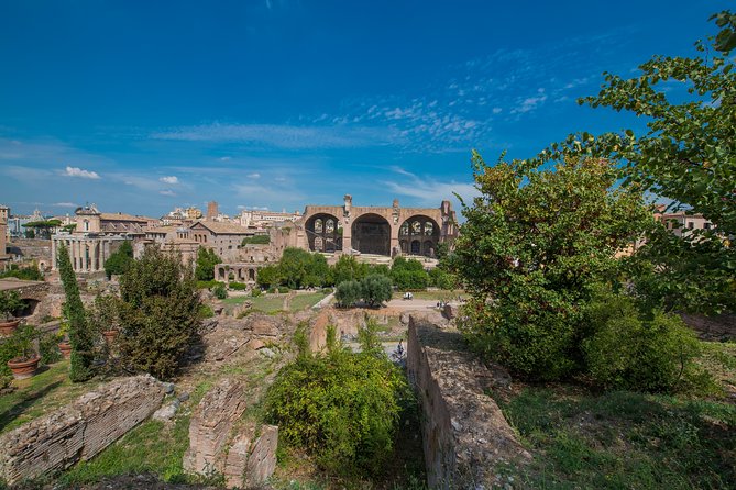Rome: Colosseum Arena, Roman Forum & Palatine Hill Tour - Heat, walking, security, and what to carry