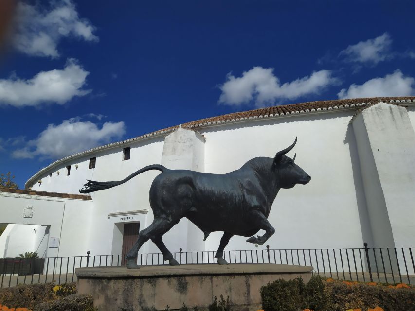 Ronda: 2-Hour Private Walking Tour - Who should book this Ronda walking tour?