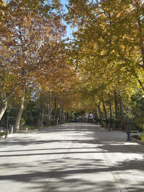 Ronda: 2-Hour Private Walking Tour - Hemingway, the bullring, and Ronda’s literary links