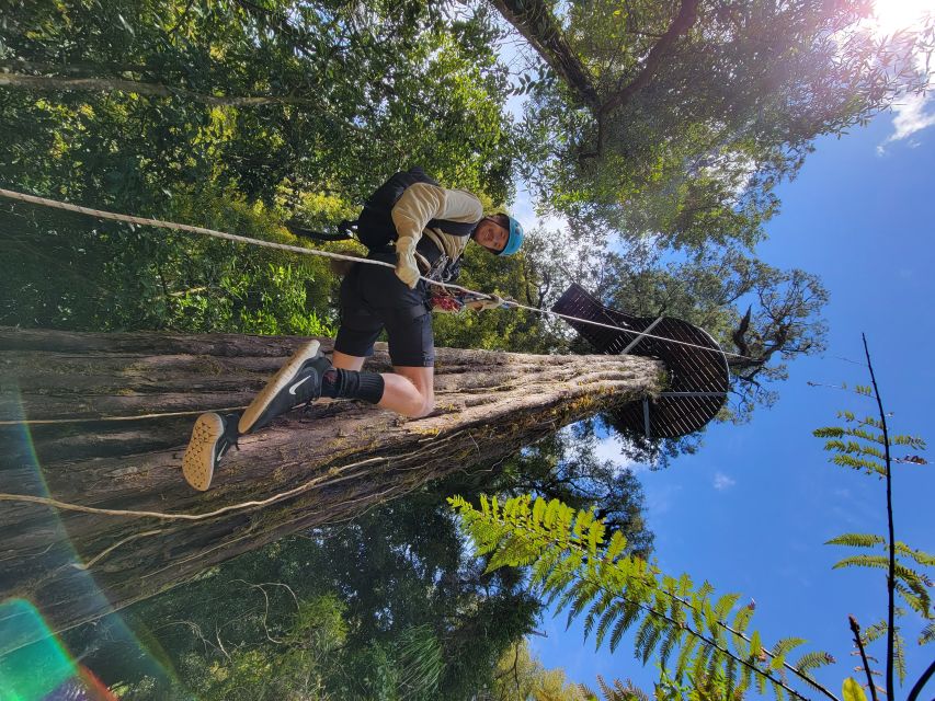 Rotorua: 6 Ziplines, 400m Tandem, Cliff Walk & Swing Bridges - Practical tips for a smoother day