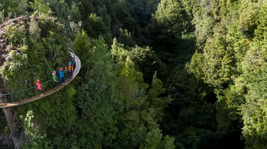 Rotorua: 6 Ziplines, 400m Tandem, Cliff Walk & Swing Bridges - Why this Rotorua zipline is more than a thrill ride
