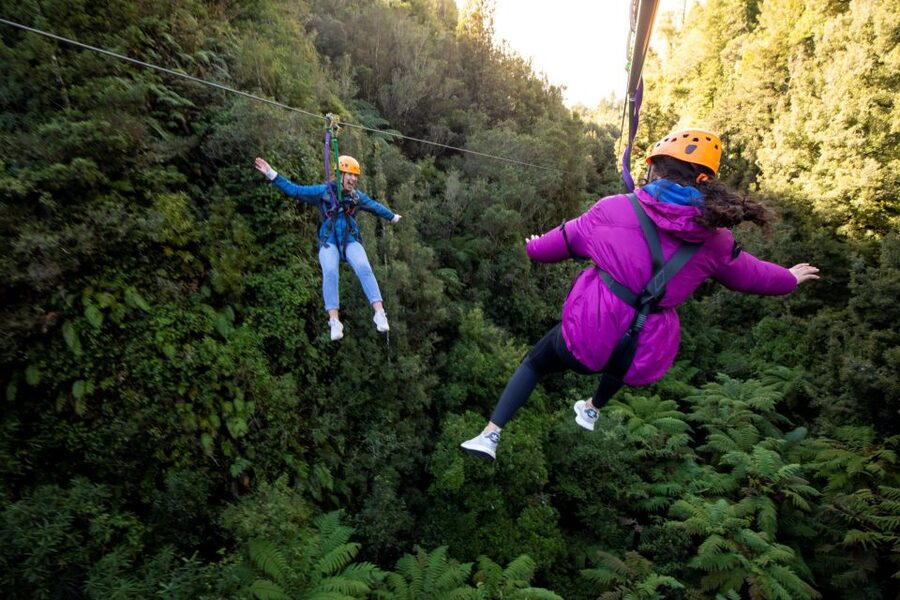 Rotorua: 6 Ziplines, 400m Tandem, Cliff Walk & Swing Bridges - Six ziplines through the native canopy