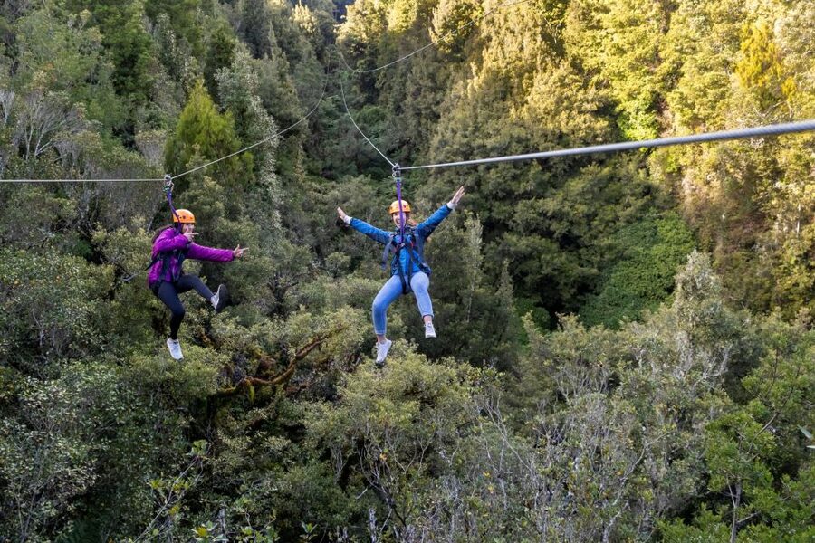 Rotorua: 6 Ziplines, 400m Tandem, Cliff Walk & Swing Bridges - Swing bridges high above the forest floor