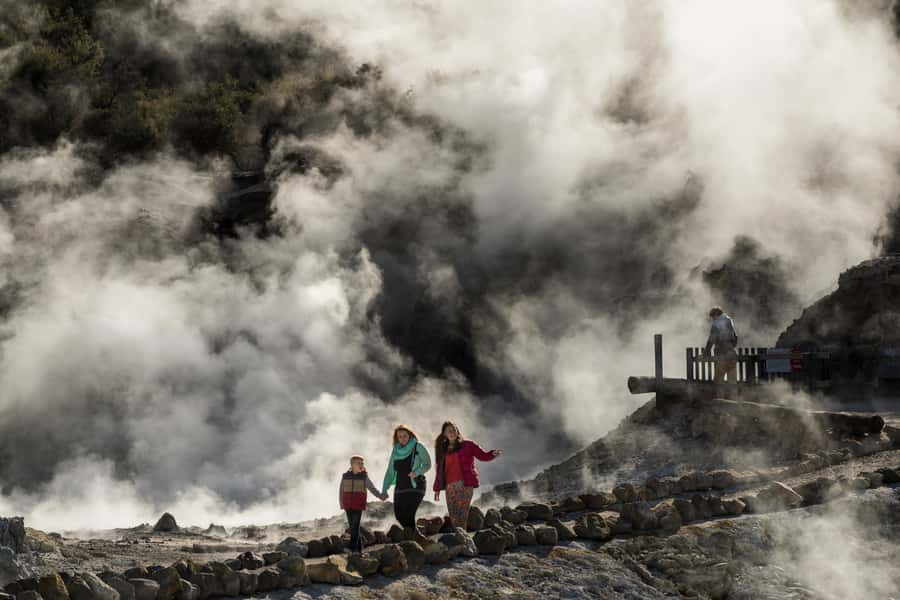 Rotorua: Hell's Gate Geothermal Walk - The one-hour geothermal route