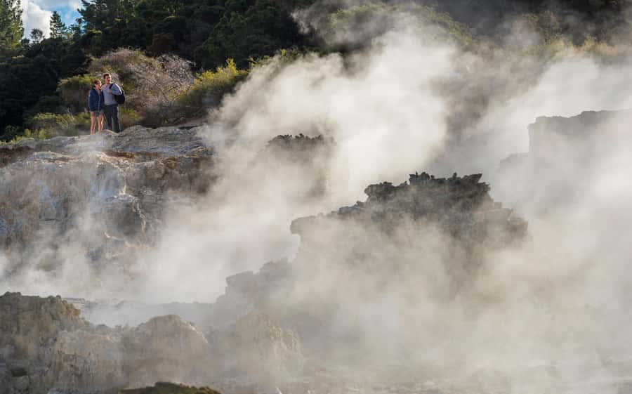 Rotorua: Hell's Gate Outdoor Mud Spa & Guided Walk - Māori carving adds meaning to the visit