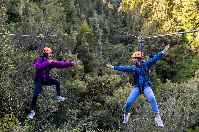 Rotorua’s Ultimate Zipline: 6 ziplines, 400 m Tandem, Cliff Walk - Six ziplines through a protected Rotorua forest