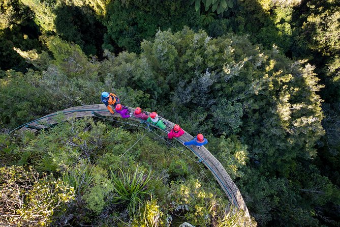Rotorua’s Ultimate Zipline: 6 ziplines, 400 m Tandem, Cliff Walk - Safety, fitness, and practical limits