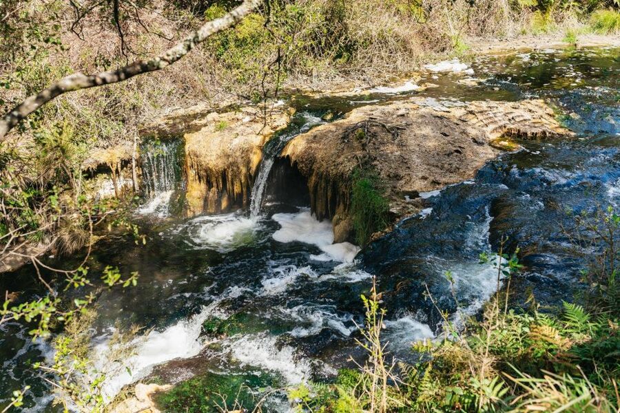 Rotorua: Waimangu Volcanic Valley Ticket & Self-Guided Walk - Timing, transport, and practical value