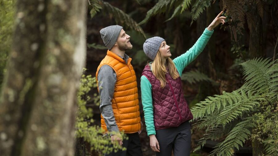 Rotorua: Waimangu Volcanic Valley Ticket & Self-Guided Walk - Inferno Crater Lake brings the strongest colour
