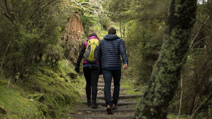 Rotorua: Waimangu Volcanic Valley Ticket & Self-Guided Walk - Lake Rotomahana and the shuttle back