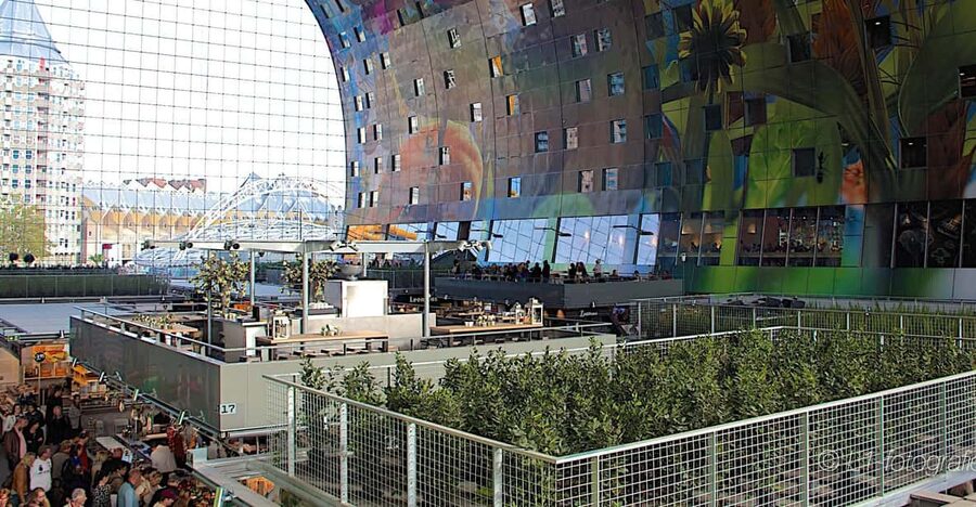 Rotterdam: City Center Walking Tour - Meeting at Rotterdam Central Station