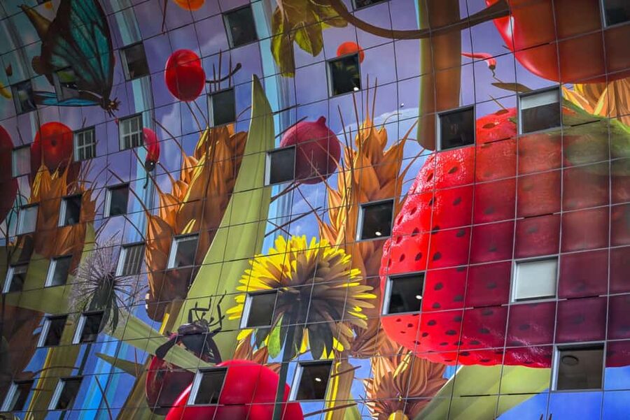Rotterdam: Highlights, Gems, Architecture & History Walk - Leuvehaven and the Maritime District