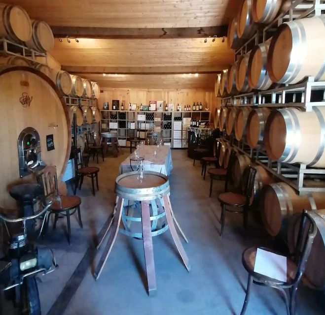 Saint-Émilion: Vineyard Walking Tour and Tasting - Key points to know