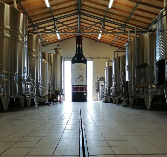 Saint-Émilion: Vineyard Walking Tour and Tasting - Why Château Haute-Nauve feels different