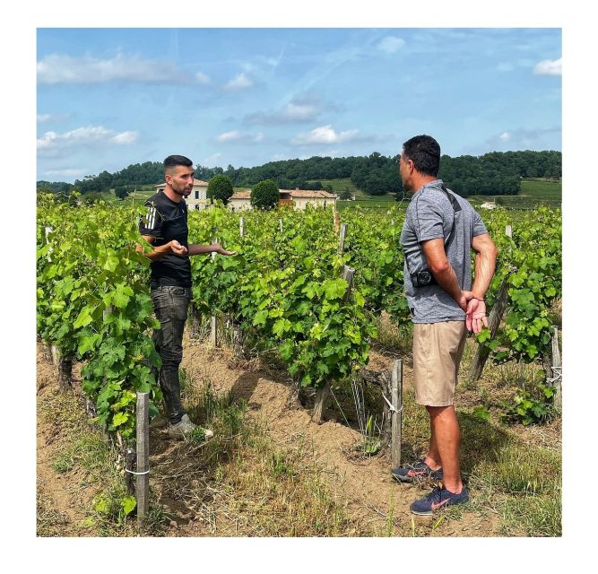 Saint-Émilion: Vineyard Walking Tour and Tasting - Tasting four wines, including two Grand Crus