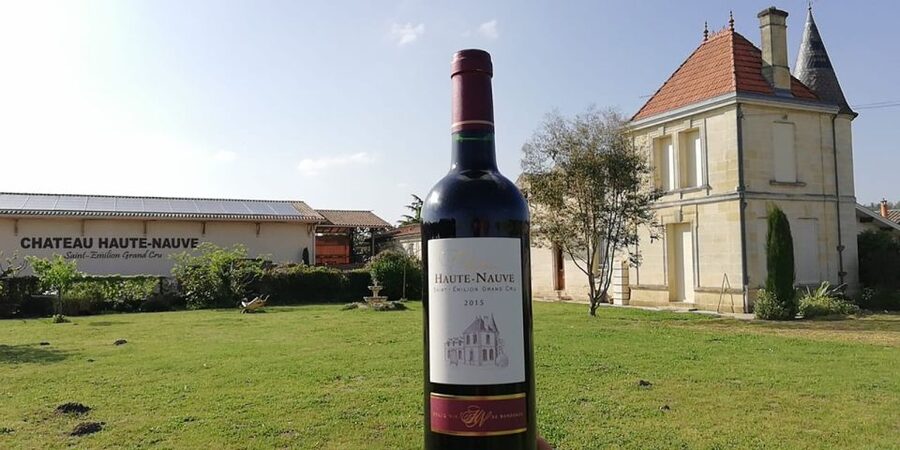 Saint-Émilion: Vineyard Walking Tour and Tasting - Walking the vineyard plots