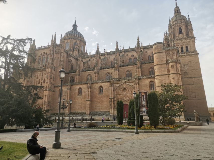 Salamanca: Monuments and Landmarks Guided Walking Tour - The old and new cathedrals side by side