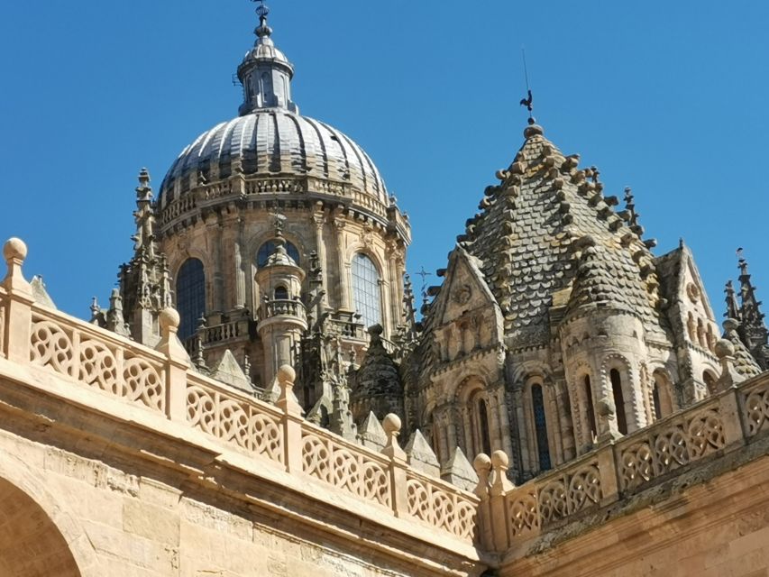 Salamanca: Monuments and Landmarks Guided Walking Tour - What the guide adds to the experience