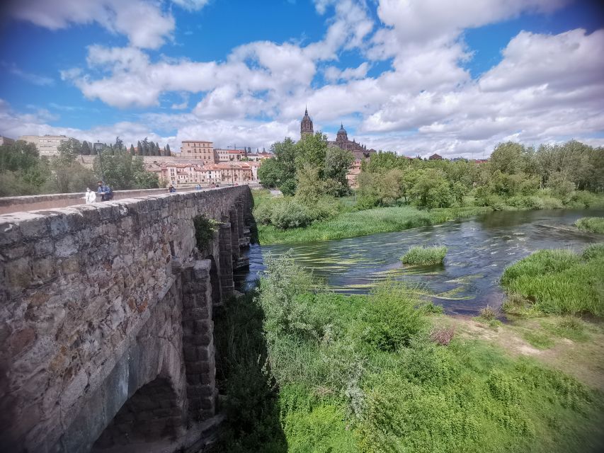 Salamanca: Monuments and Landmarks Guided Walking Tour - Who should book this Salamanca walk?