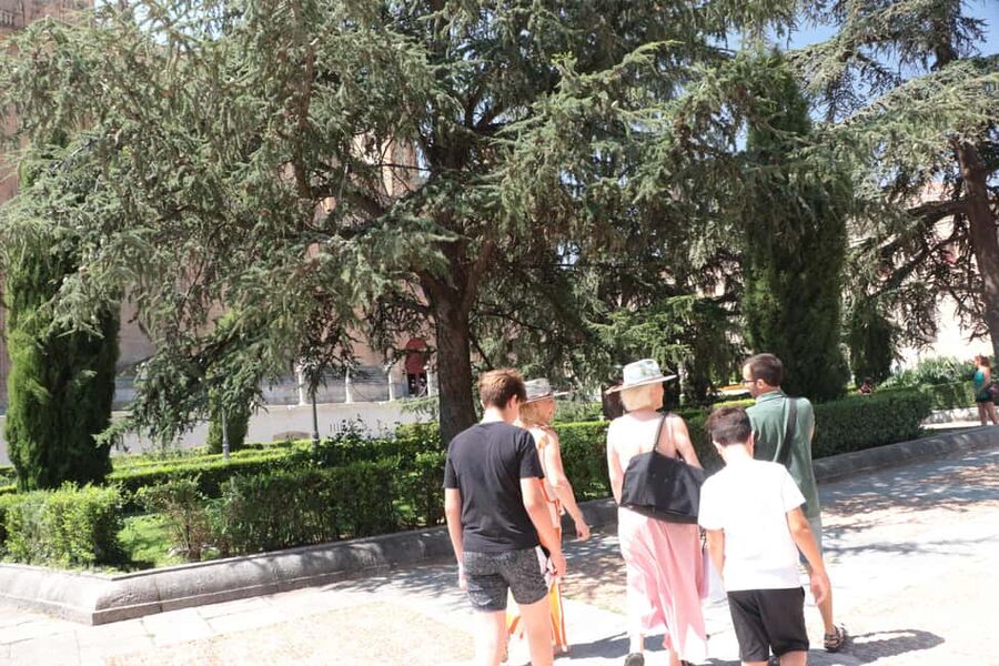 Salamanca: Private Walking Tour with a Local - Why a Private Walk Works Well in Salamanca