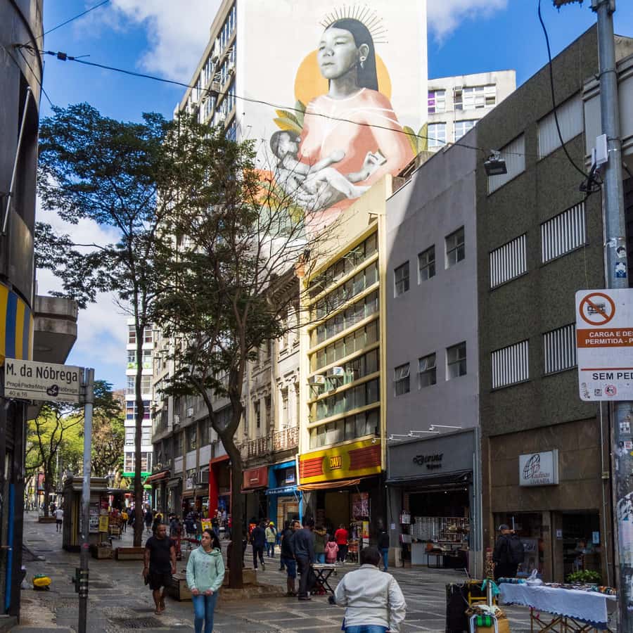 Sao Paulo: Downtown-Center Walking Tour | 2 Hours - English - Pace, group size, and walking comfort