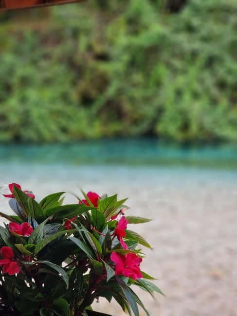 Sarande: Blue Eye Kayak and walking tour & Lekursi Castle - What Ledjon adds to the outing