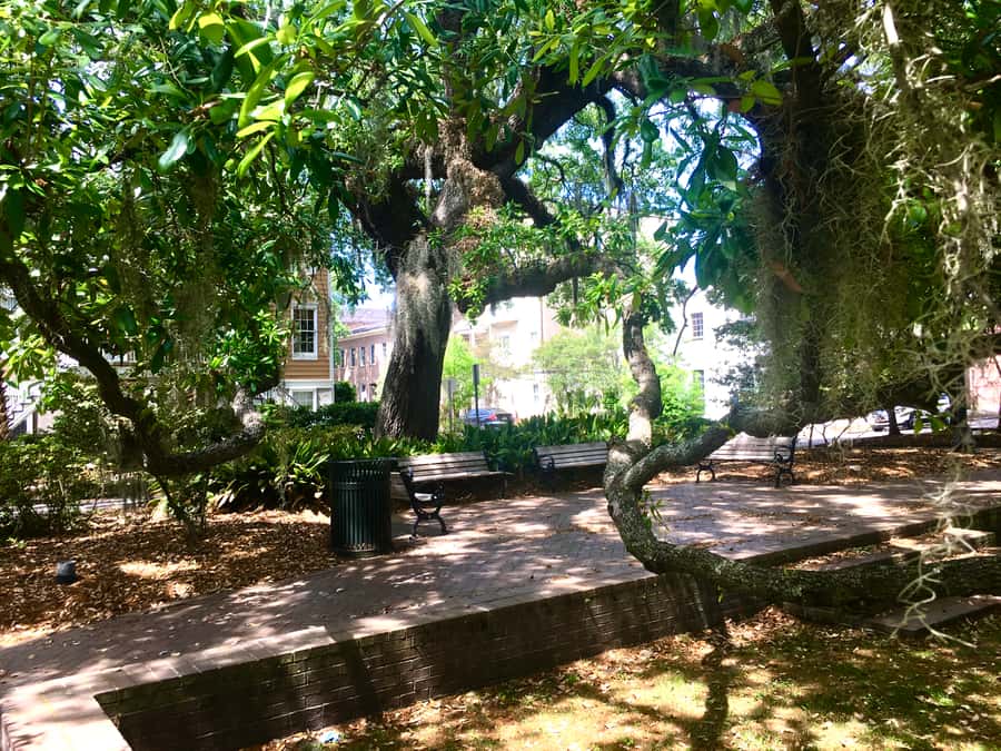 Savannah: Highlights Off the Beaten Path Guided Walking Tour - Monterey Square and Savannah’s layered stories