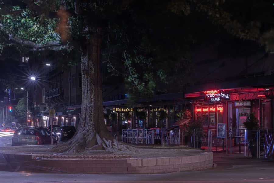 Seattle: Terrors and Ghosts Guided Walking Tour - Post Alley and the Gum Wall after dark