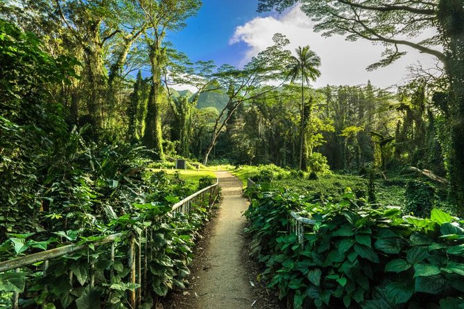 Self guided Hike Trail to Nature Walk & Waterfall - Why Manoa Falls makes a good half-day escape