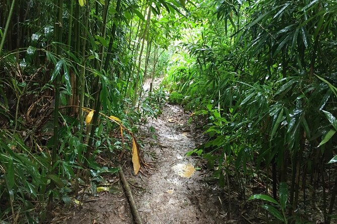 Self guided Hike Trail to Nature Walk & Waterfall - Puʻu ʻUalakaʻi State Park and the Honolulu view