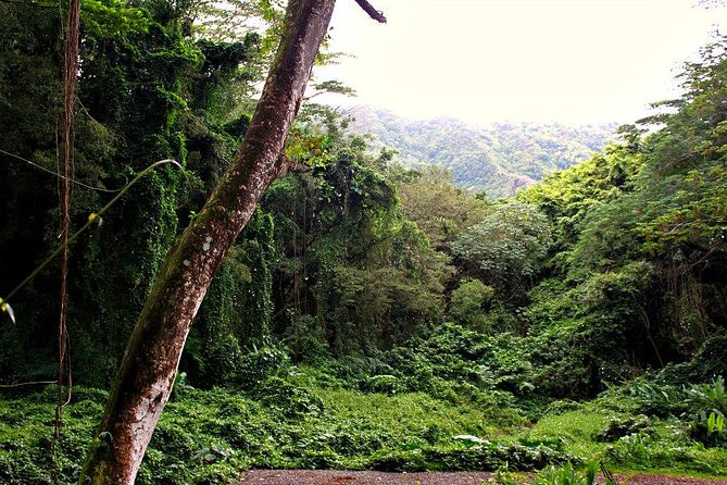 Self guided Hike Trail to Nature Walk & Waterfall - What the guide adds to a hike you could do independently