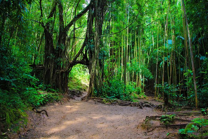 Self guided Hike Trail to Nature Walk & Waterfall - Pickup, timing, and the real three-hour window