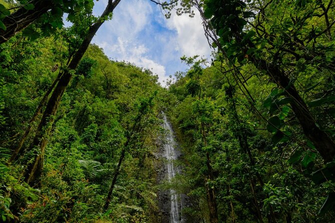 Self guided Hike Trail to Nature Walk & Waterfall - Who should book this Manoa Valley outing?