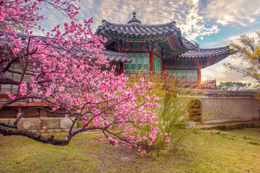 Seoul: Gyeongbok Palace and Bukchon Hanok Walking Tour - Why this three-hour route works so well