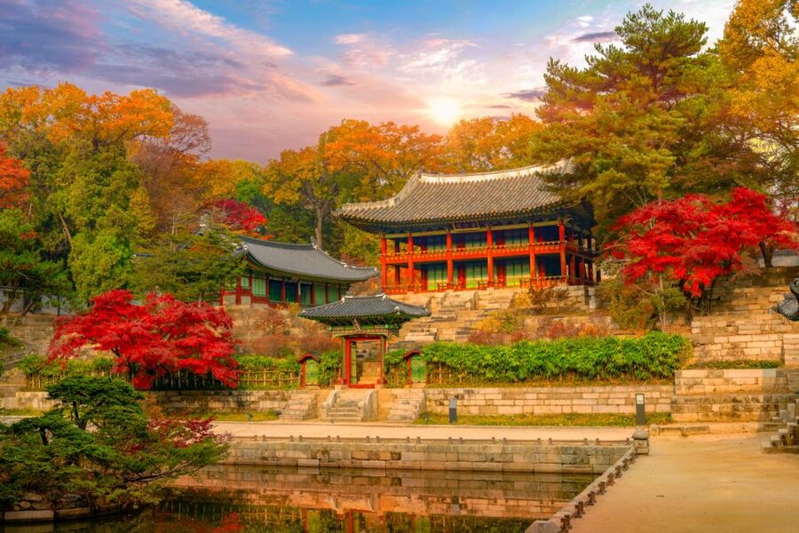 Seoul: Gyeongbok Palace and Bukchon Hanok Walking Tour - What the guide can add to your Seoul visit