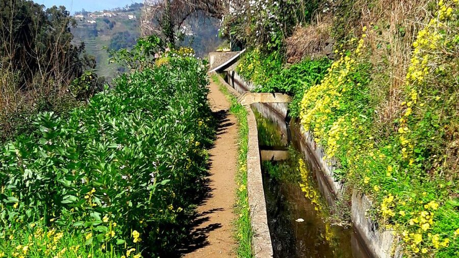 Serra de Água Valley Levada Walk - Who should book this walk?