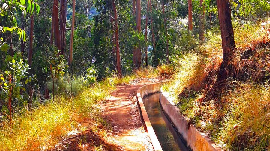 Serra de Água Valley Levada Walk - Why this walk works for first-time hikers